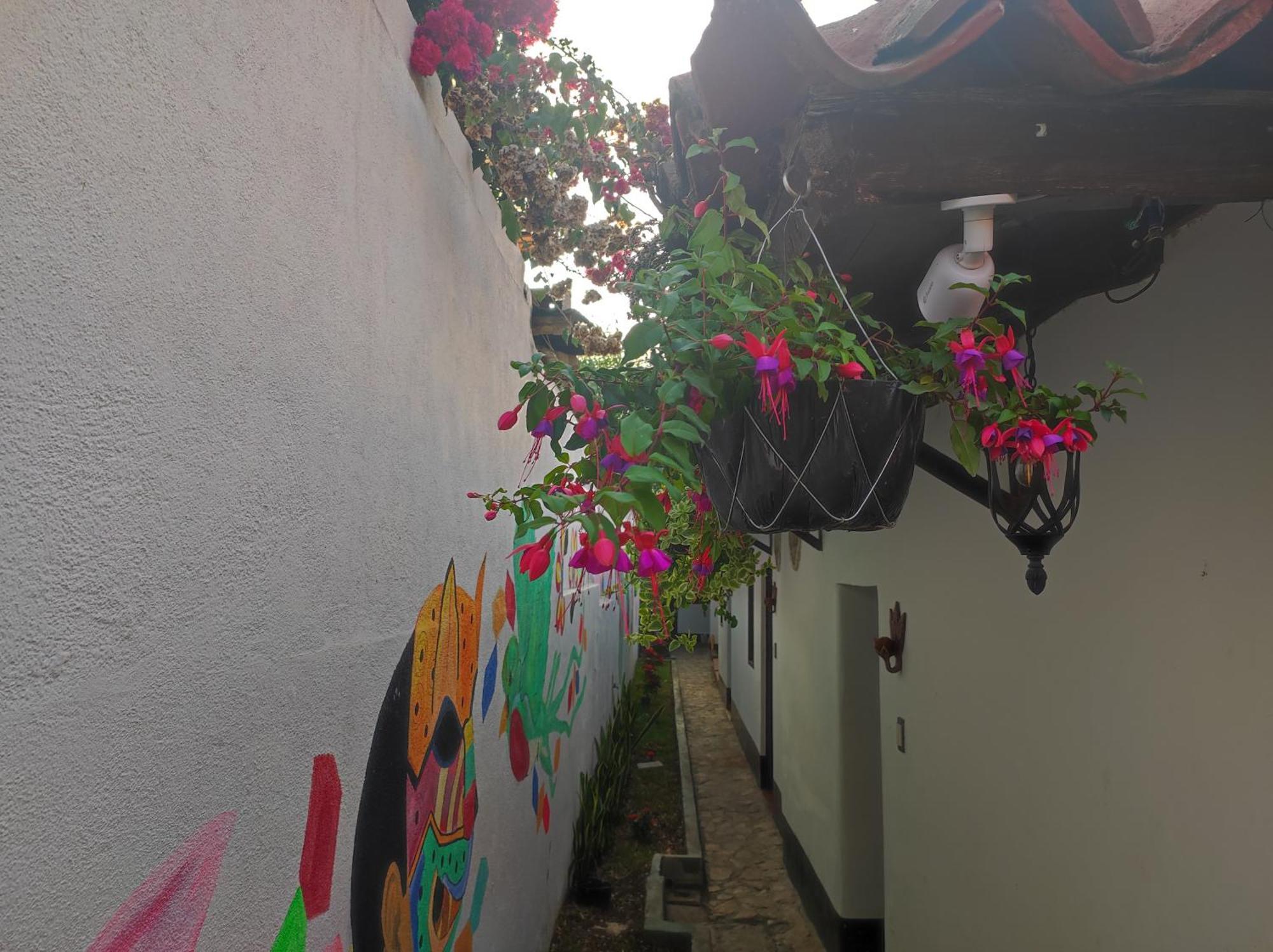 Casa Nikte Hotel Antigua Exterior photo
